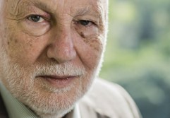 Domenico de Masi